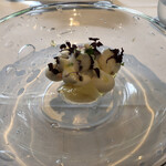 ル・ニコ・ア・オーミナミ - 