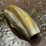 鮨 いとう - こはだ