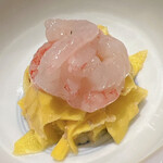 温石 - 焼津の南蛮海老とコリンキー