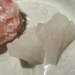 温石 - 泥障烏賊