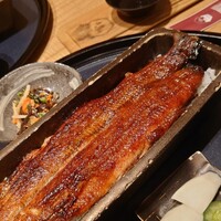 うなぎ四代目菊川 ミッドランドスクエア 名古屋本店 - 