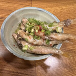 旬の魚と旨い酒 山田食堂 - 