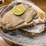 旬の魚と旨い酒 山田食堂 - 