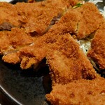 Fried Dimer FUKADA - メガロース定食