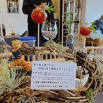 プレゼンテ スギ - ★8～シェフからの最初の贈り物～定点　トマト飴