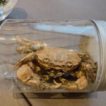 プレゼンテ スギ - もくずがに