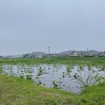 プレゼンテ スギ - 佐倉駅への帰り道