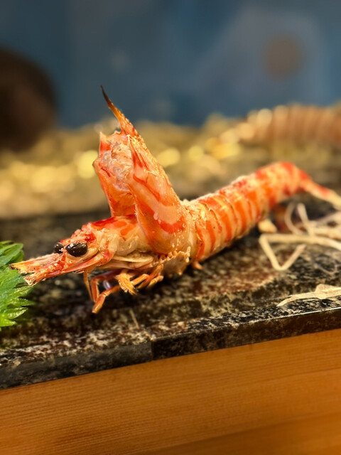 Ishimatsu Nozaki Ten photo