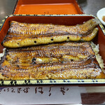 Unagi Hashimoto - 