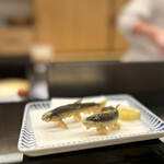 Tempura Shinjuku Tsuna Hachi - 