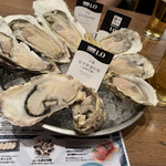 OysterTable - 