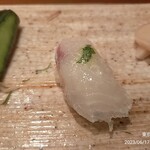 Sushi Hiroba - こち