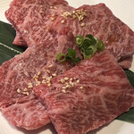 老舗精肉店直送 千種焼肉 飛騨牛の奴隷 - 