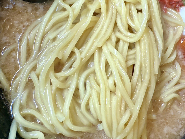 Menya Ichimin photo 5