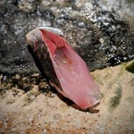 千葉たかおか - 昼１１時に揚がった鯵。漁師さんがそのまま届けて下さる。そんなことが出来るのかと、つい高値で買い支えているのかお聞きしてみたら、やはりそうでした。高級獲れたて鯵。