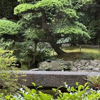 日本料理「雲海」 - 