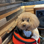 THE NUTS EXCHANGE - 此処だと落ち着いている