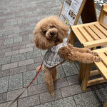 THE NUTS EXCHANGE - 帰り際のちょーだいポーズ♪