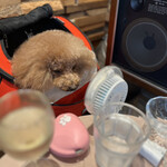 THE NUTS EXCHANGE - 扇風機あててみたｗ