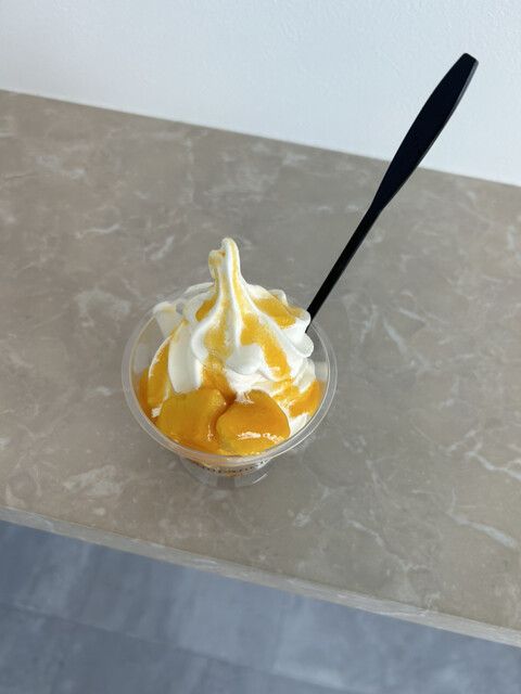 Campanula （カンパニュラ） - 岩出/ジェラート・アイスクリーム