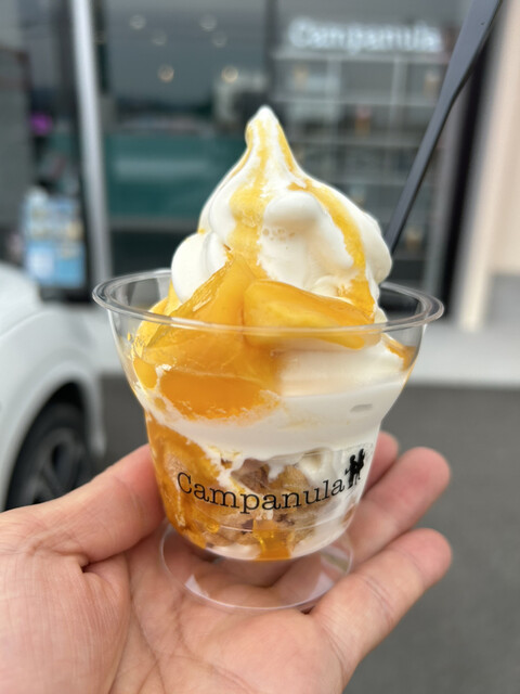 Campanula （カンパニュラ） - 岩出/ジェラート・アイスクリーム