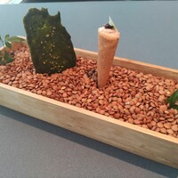 プレヴナンス - 