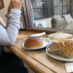 リトルマーメイド - 