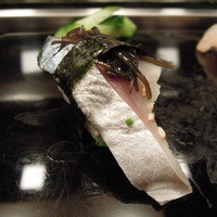 寿司 もり田 - 〆鯖