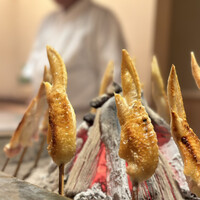 鳥匠いし井ひな - 