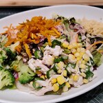 はなまるうどん - 野菜は、ブロッコリー、サニーレタス、かぼちゃ、大根、にんじん、 オクラ、レッドキャベツ、赤パプリカと8種類の野菜