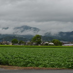 たまご家 - お店前の景色