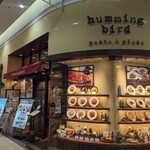 Humming bird - 