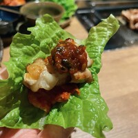 とり料理 鳥者 - 