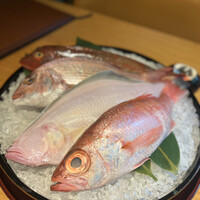 泉岳寺門前 紋屋 - 