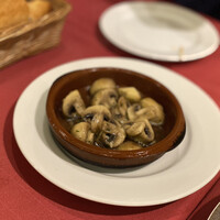 びいどろ 銀座店 -  びいどろ 銀座店 -