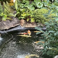 炭焼うな富士 白壁別邸 - 