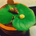 日本料理　たはら - 梅雨：雨蛙と蝸牛