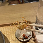 御幸町 田がわ - 