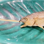 蕎麦割烹  倉田 - 天竜川産 若鮎の塩焼き