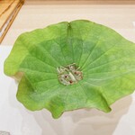 蕎麦割烹  倉田 - 蓮葉上の ジュンサイ