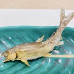 蕎麦割烹  倉田 - 天竜川産 若鮎の塩焼き