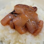 Karayama - ご飯に塩辛