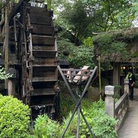 黒茶屋 -  黒茶屋 -