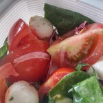グリーン・グルメ  - トマトとモッツァレラのサラダ