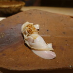 千葉たかおか - 内房総のはまぐり