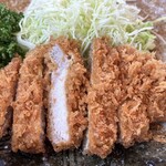 Tonkatsu Kunika - 