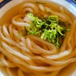 Teuchi Udon Shimizuya - 