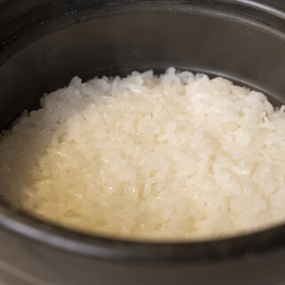 [Freshly cooked rice]