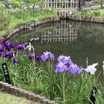 Kinjou An - 細川庭園