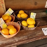 小さな森の喫茶店　レストラン　ワイルドダック - 